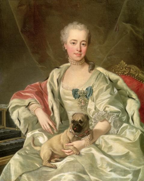 Louis Michel van Loo Portrait of Princess Ekaterina Dmitrievna Golitsyna France oil painting art